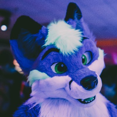 26 | He/They Demi | IT fox dork that also likes gaming and animation thingies | CS graduate | MM suiter since 2016 | New suit soon!