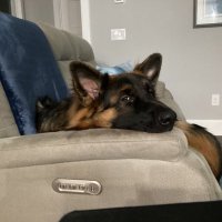Ky_Hunter (@ky_hunter01) 's Twitter Profile