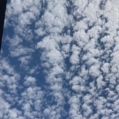 renaitankakyoko's profile picture. 全くの素人ですが趣味で恋愛短歌を作っています。実体験ではなく全てフィクションです。 たくさんの応援メッセージありがとうございます♡#恋愛短歌