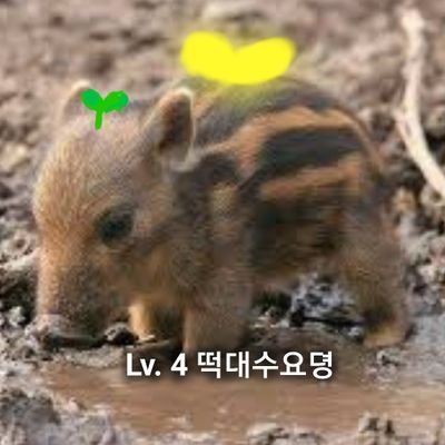 아노릇노릇 아노르이실さんのプロフィール画像