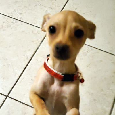 tslfla1_Rayne's profile picture. 