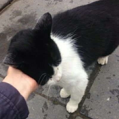 mia.さんのプロフィール画像