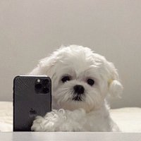 hao (@_404not__found_) Twitter profile photo