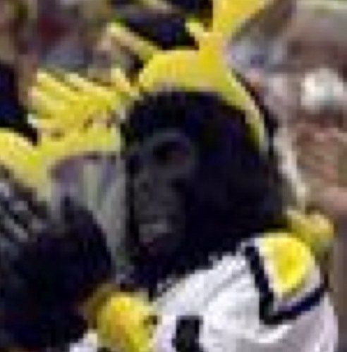 Man_of_Fish's profile picture. Canonballlll.