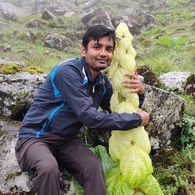 Plant Taxonomist,
Assistant Scientist (Patanjali research institute, Haridwar),
Project fellow (CSIR-NBRI Lucknow)