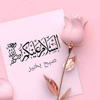 MshahidAnsari18's profile picture. Truth can be disturbing but not defeated 🎉🎉