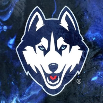 TheHuskyReport_ Profile Picture