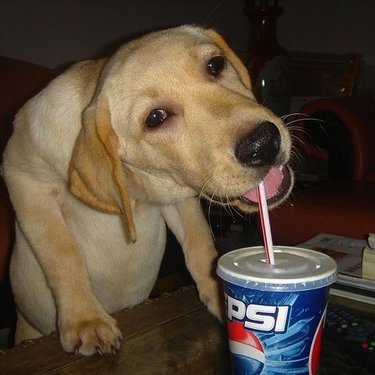 If I give you a like, just imagine that's me saying
