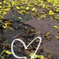 Carmine (@india22463675) 's Twitter Profile