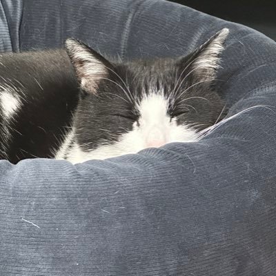 YR191126's profile picture. 引きこもり