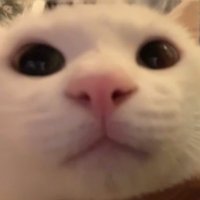 Kathy (@kathy_kk_) Twitter profile photo