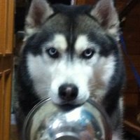 piyon (@piyon46083308) 's Twitter Profile