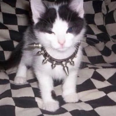 katさんのプロフィール画像