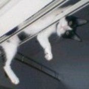 🎹ビッケブランカ💗らぶぅ
🏠はばタン🕊1967.7.🦀
好きな言葉🐱紆余曲折/ 一期一会/油断大敵/幸せは自分が決める💞/情けは人の為ならず/
🌟Devil Tour Promised🧡 10/18大阪
