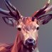 Yvette Doyle❤ Memecoin (@yvetted43379599) Twitter profile photo Yvette Doyle❤ Memecoin (@yvetted43379599) Twitter profile photo