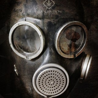 tommisboo's profile picture. 