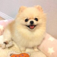 モーリー (@morry_0723) 's Twitter Profile Photo モーリー (@morry_0723) 's Twitter Profile Photo
