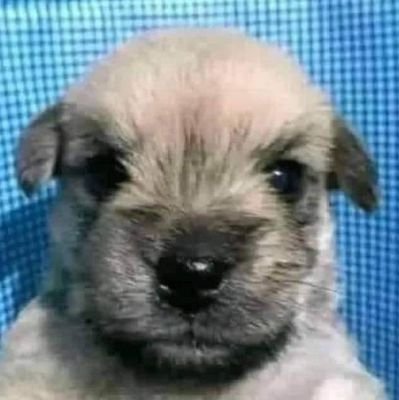 Alexis00604261's profile picture. 