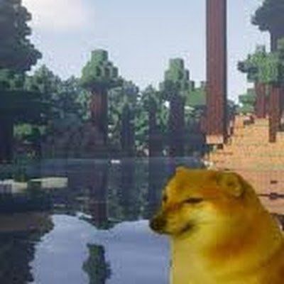 CaoMinhTrcCaoM1's profile picture. 