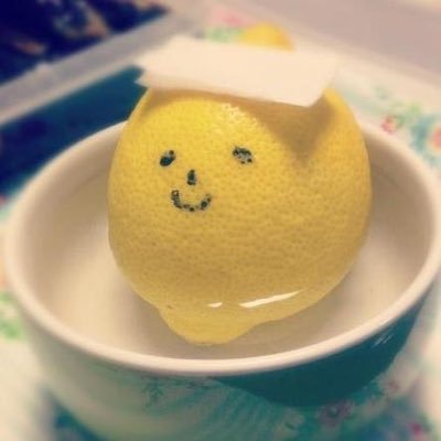 ほっとれもん🌲🍃さんのプロフィール画像