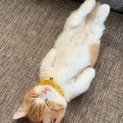 La_viede_reve's profile picture. 