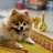 Fisho_Dandelion's profile image