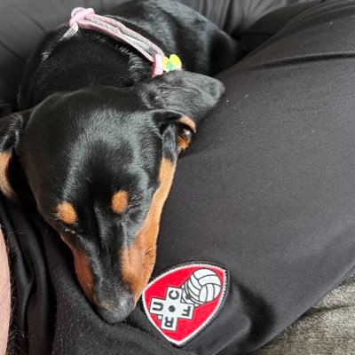 #Rufc season ticket holder exiled to Sunny south Essex. Use twitter to exercise my no filter mouth. offence or not 🤷♀️clear eyes full hearts can’t lose UTFM