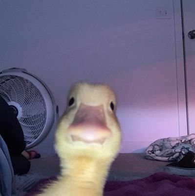 MixGreyat's profile picture. 