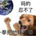 Hhhhh (@yushazhao) Twitter profile photo Hhhhh (@yushazhao) Twitter profile photo