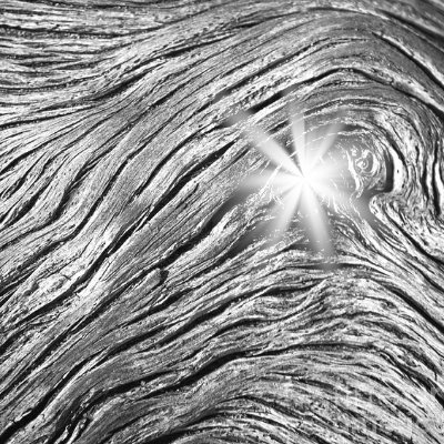 Lightbark5's profile picture. Peating