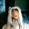 realityhopping's profile picture. 