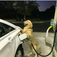 Gasolinero de pueblo (@dondestalwater) 's Twitter Profile