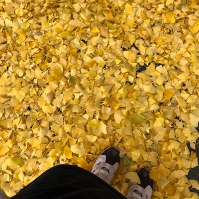 _____kptiara01's profile picture. キンプリちゃんの笑顔を守りたい🏰👑🤍紫耀くん大好きキンプリみんな大好き🫶ティアラさん仲良くしてください！ 無言フォロー失礼します🙌