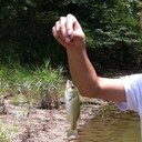 ken Kojima - @kkdubsyai - Twitter