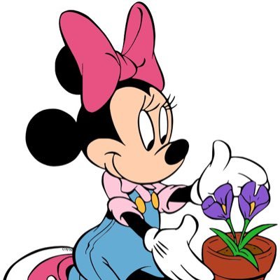 Cassie1875's profile picture. 