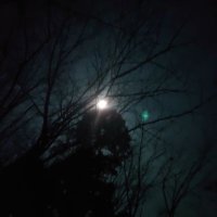 ken (@ken26676815) 's Twitter Profile