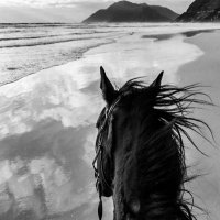 ّ (@shmd27__) Twitter profile photo