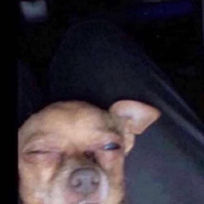 JalenDinero_o's profile picture. 🕊🖤🕷