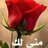 @NasrGhanim1