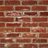 s0gard's profile image