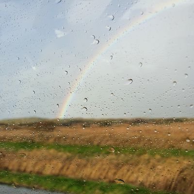 Chaos im und auf dem Kopf. Viel zu viel Liebe und andere Gefühle. Mit der Realität meistens überfordert. Null Verständnis für Hass, Hetze und Schwurbel.