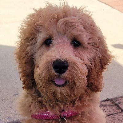 LoveNEOMatrix's profile picture. 