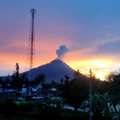 alfanaga's profile picture. 