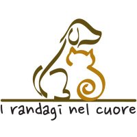 I RANDAGI NEL CUORE ODV - Animal care organization(@i_randagi) 's Twitter Profile Photo