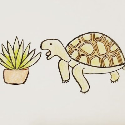 Just a tortoise who is living a simple life.