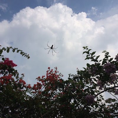 Danah050782291's profile picture. 