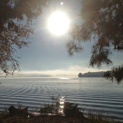 BevyEdwards's profile picture. 