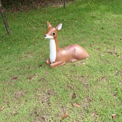 三重県民 ジュビロ磐田サポ 今シーズンは角くんユニ✨ 😺🐶 無言フォローお許しください🙇‍♀️/古川陽介/角昂志郎