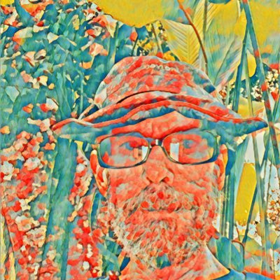 BlindGringo's profile picture. I’m a Blind Gringo living in the mountain jungles and living a peaceful life. 🇺🇸 🇵🇦