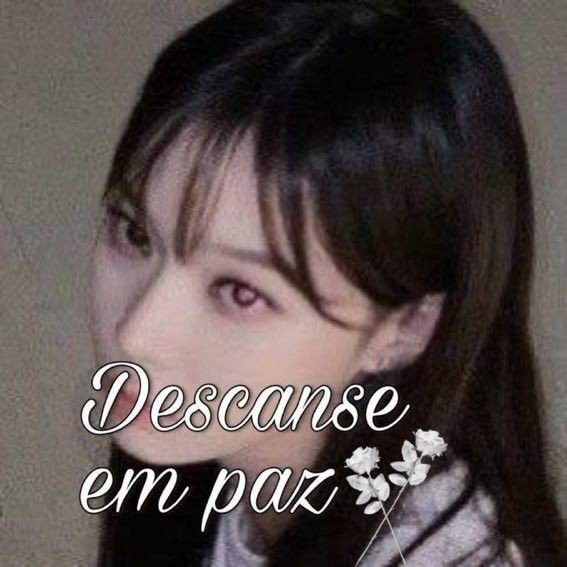 moved_bjj's profile picture. 